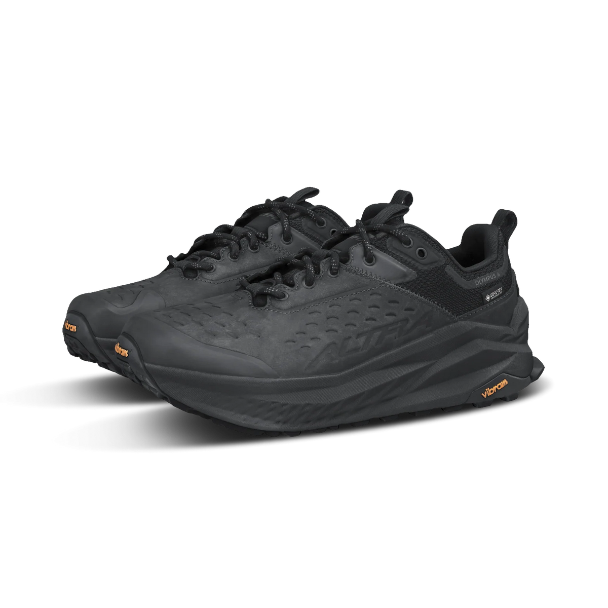 Women’s Olympus 6 Hike Low GTX Waterproof Walking Shoe