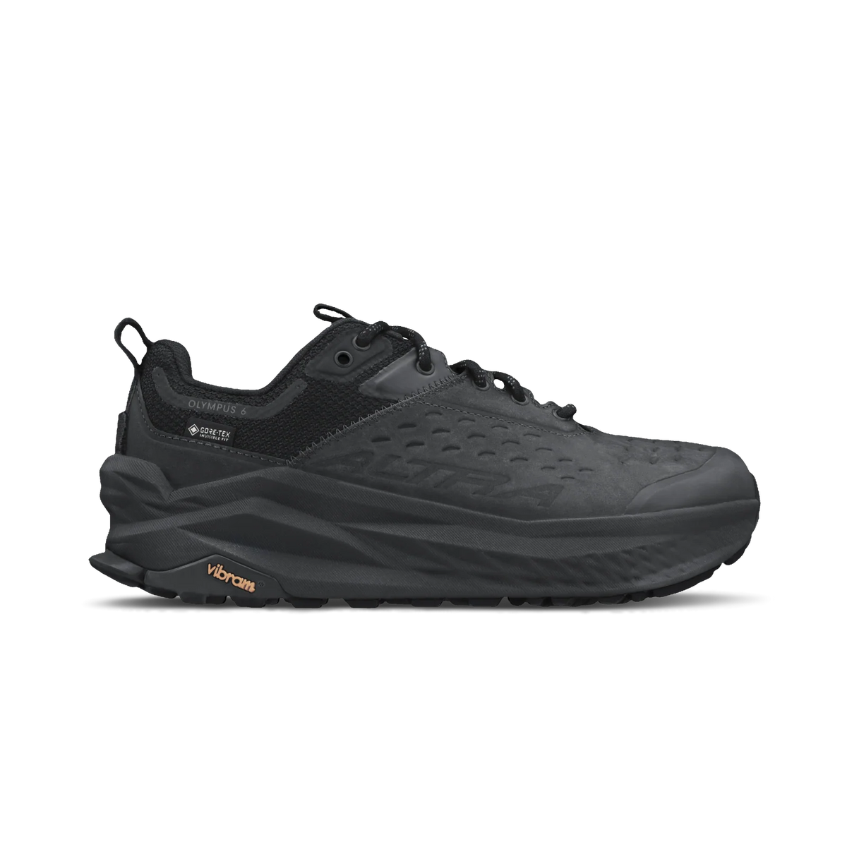 Women’s Olympus 6 Hike Low GTX Waterproof Walking Shoe