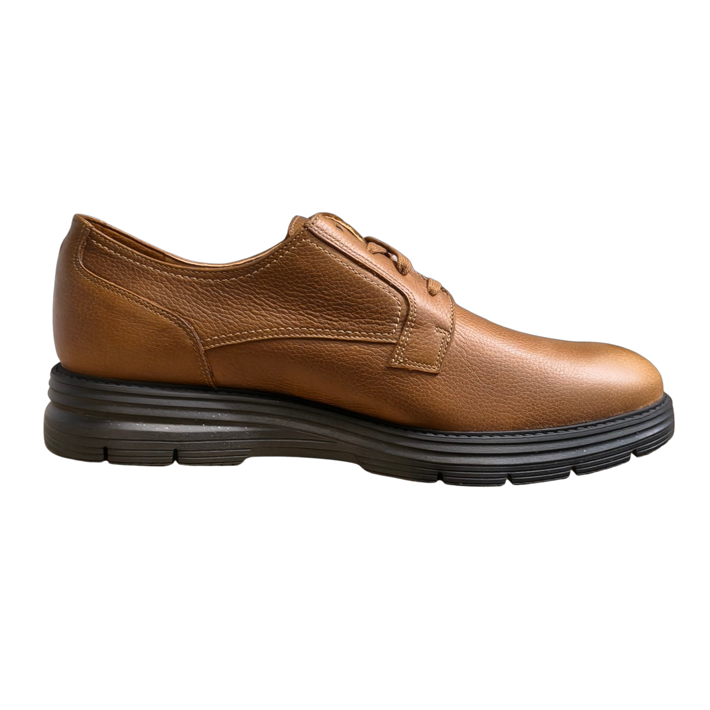 Cedrik Mens Casual Shoe