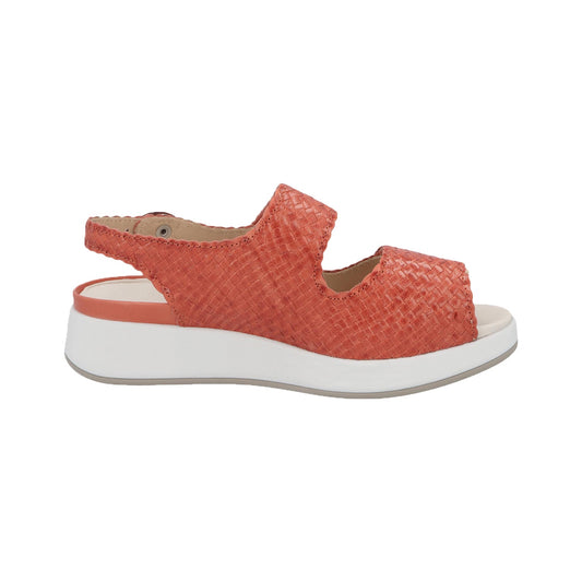 Hannah 75034 Percola