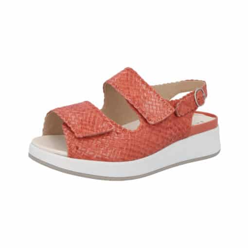 Hannah 75034 Percola - Image 3