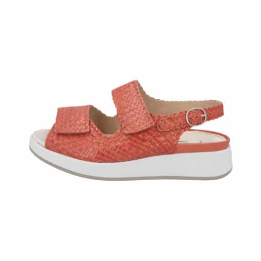 Hannah 75034 Percola - Image 2