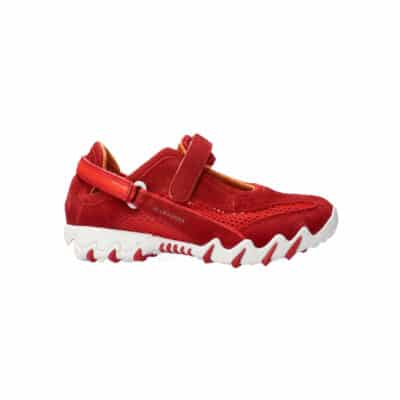 Niro - 75/75 Barbados Cherry