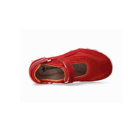 Niro - 75/75 Barbados Cherry - Image 2