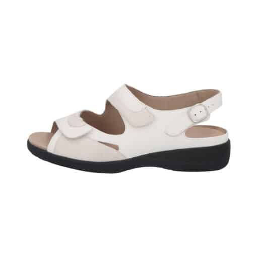 LIA 73094- Vitello/Primark - Image 4