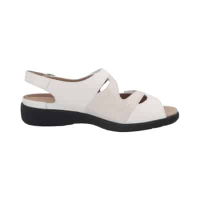 LIA 73094- Vitello/Primark